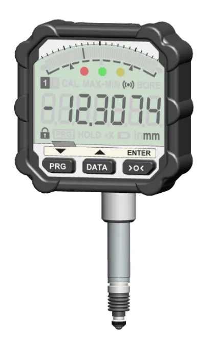 Visualizzatore IBR SD1
