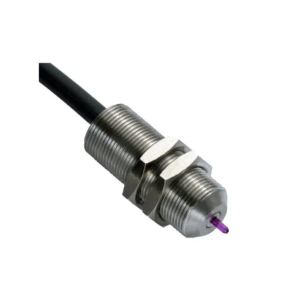 Micron switch